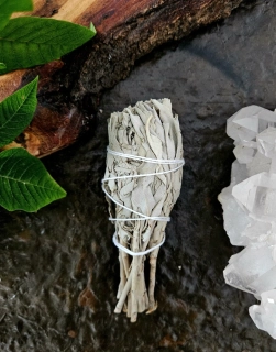 ŠALVEJ BÍLÁ  SVAZEK 12cm 10-20g